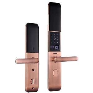 Khóa cửa vân tay Pulmos F16 Red