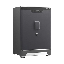 Két sắt vân tay Kassler KL-75LS6 LUXURY