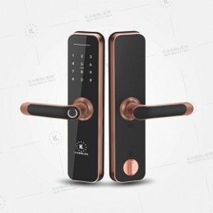 Khóa cửa vân tay Kassler KL- 668 APP RED BRONZE