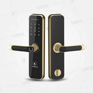 Khóa cửa vân tay Kassler KL- 668 APP GOLD
