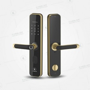 Khóa cửa vân tay Kassler KL- 696 APP GOLD