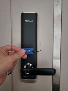 Khóa cửa vân tay Winlock STV-7800K