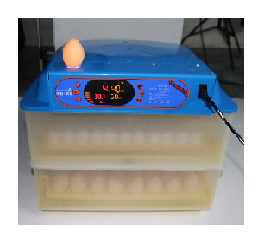 Máy ấp trứng tự động nhập khẩu mini MN-112Đ