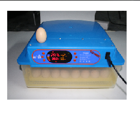 Máy ấp trứng tự động nhập khẩu mini MN-56Đ