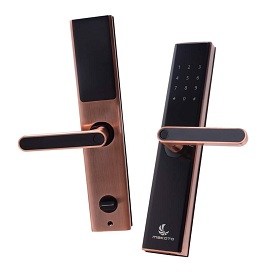 Khóa cửa vân tay Makoto Bushino 360 màu đồng 