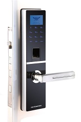 Khóa cửa vân tay Dessmann G800
