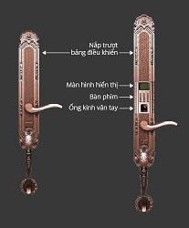 Khóa cửa vân tay Dessmann K5