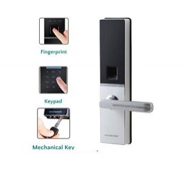 Khóa cửa vân tay Dessmann G810