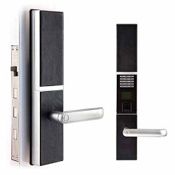 Khóa cửa vân tay Dessmann S710
